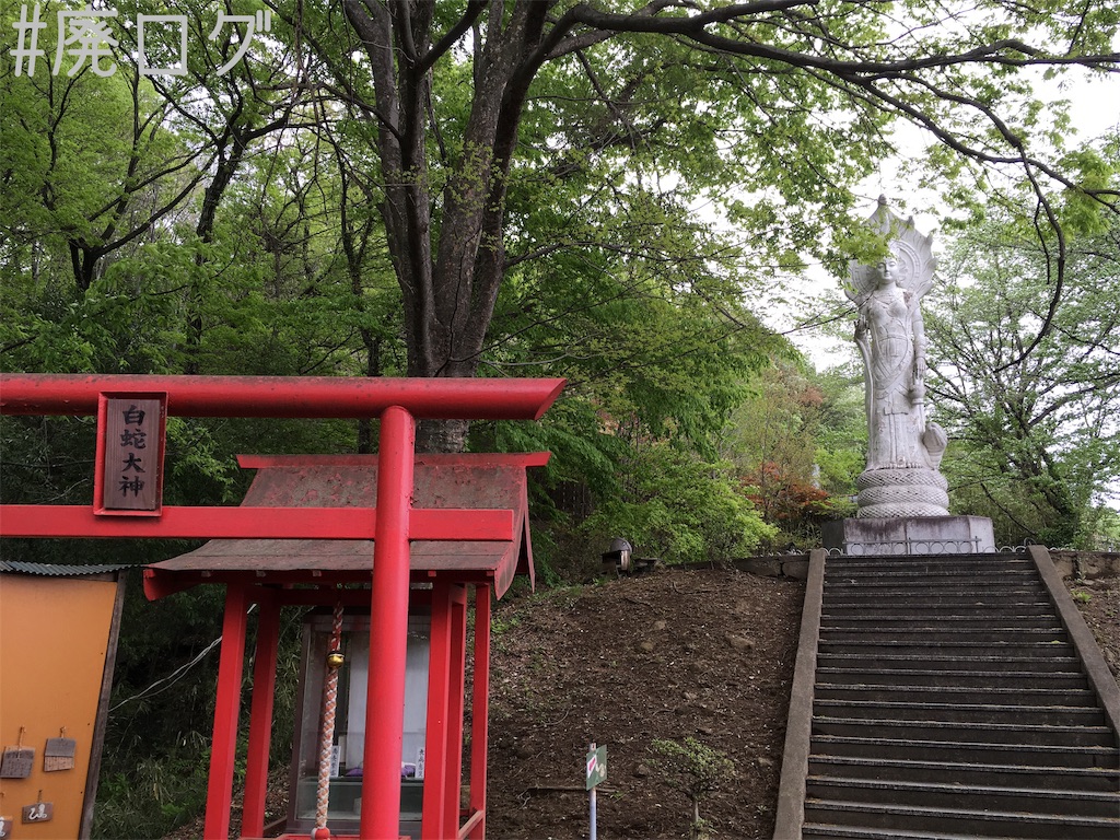 f:id:hiyapa:20190512195245j:image f:id:hiyapa:20190512195245j:image