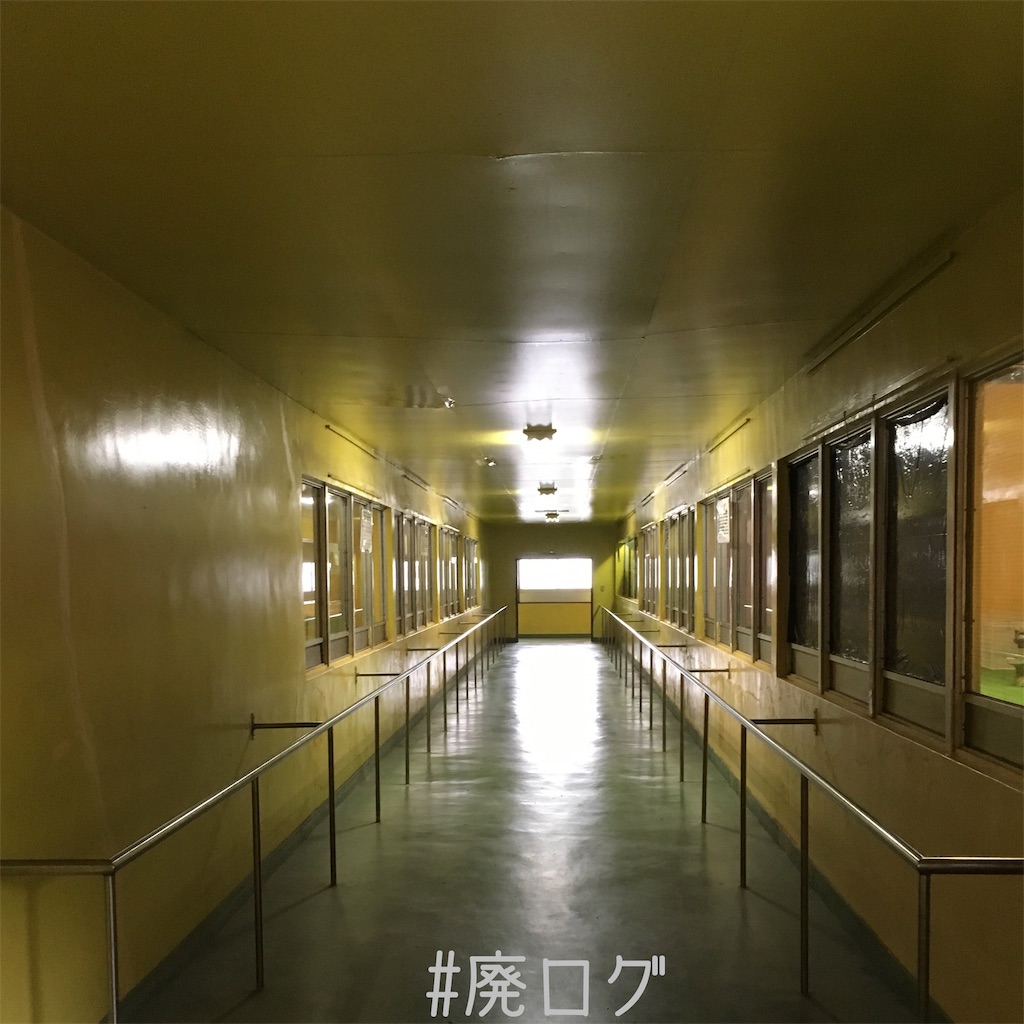 f:id:hiyapa:20190512195252j:image f:id:hiyapa:20190512195252j:image