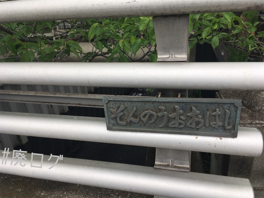 f:id:hiyapa:20190519211722j:image