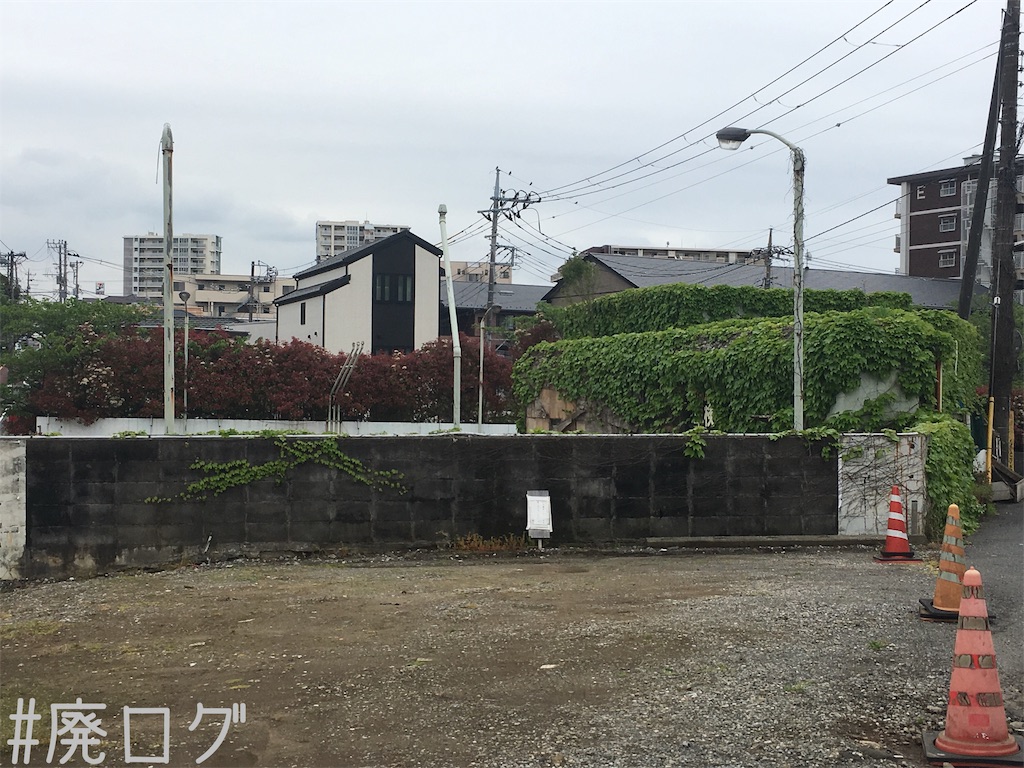 f:id:hiyapa:20190519211816j:image
