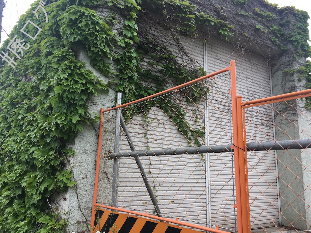 f:id:hiyapa:20190519211820j:image