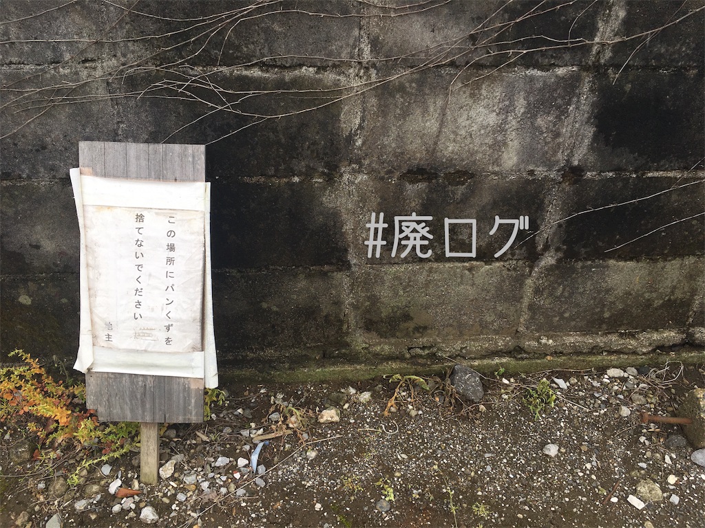 f:id:hiyapa:20190519211831j:image