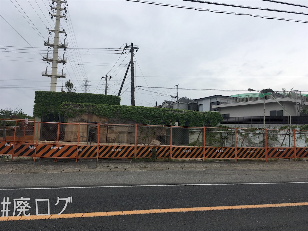 f:id:hiyapa:20190519211836j:image