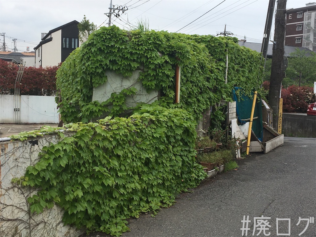 f:id:hiyapa:20190519211839j:image