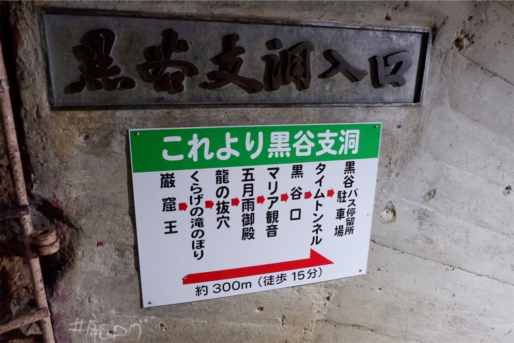 f:id:hiyapa:20190526192541j:image