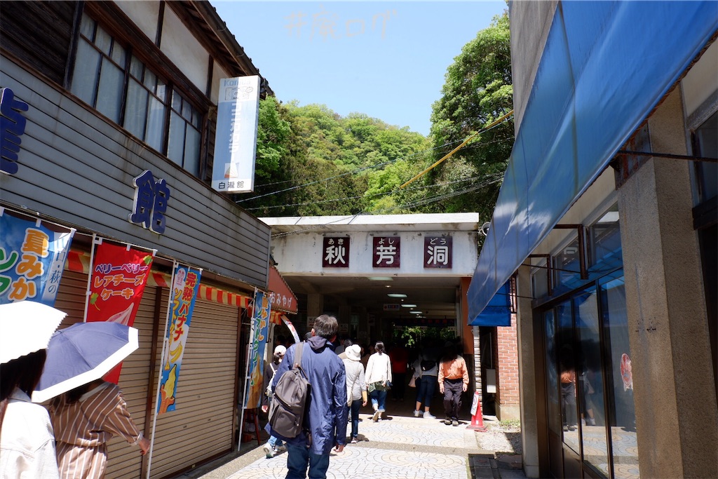 f:id:hiyapa:20190526192551j:image