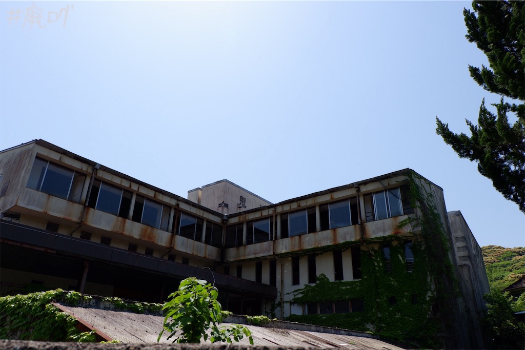 f:id:hiyapa:20190526200031j:image