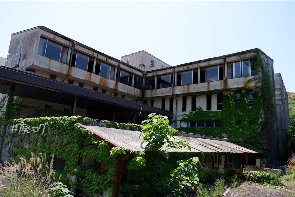 f:id:hiyapa:20190526200100j:image