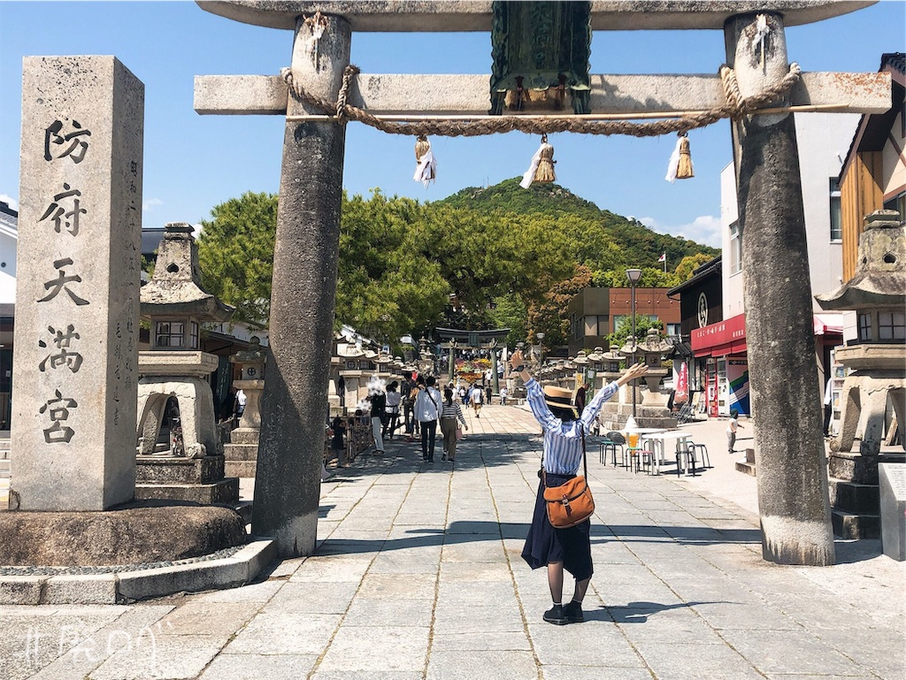 f:id:hiyapa:20190530221616j:image