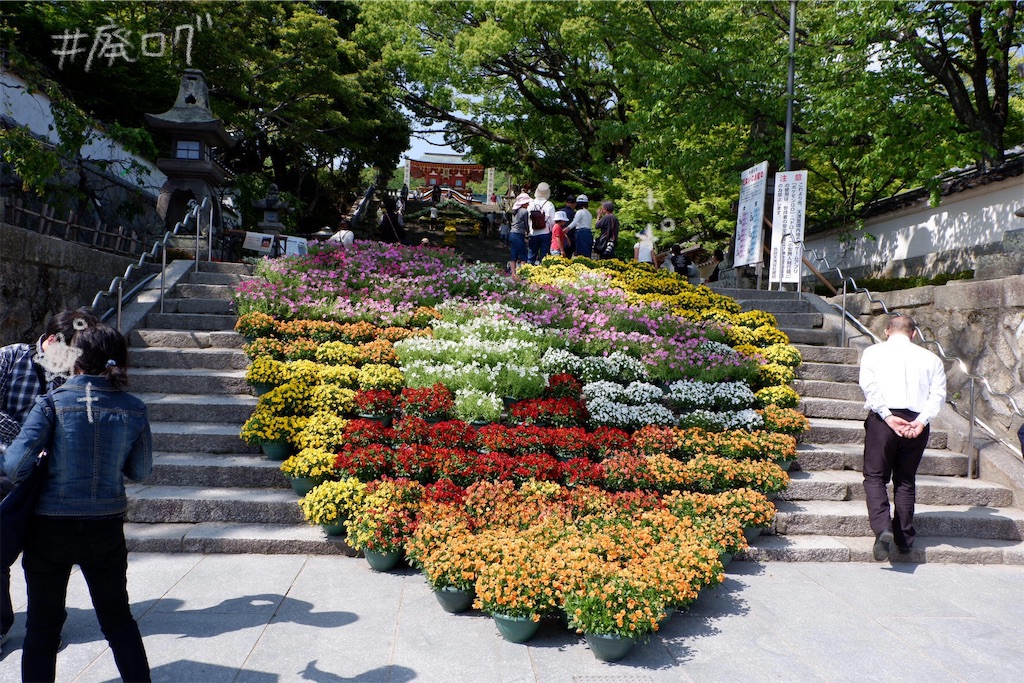 f:id:hiyapa:20190530221643j:image