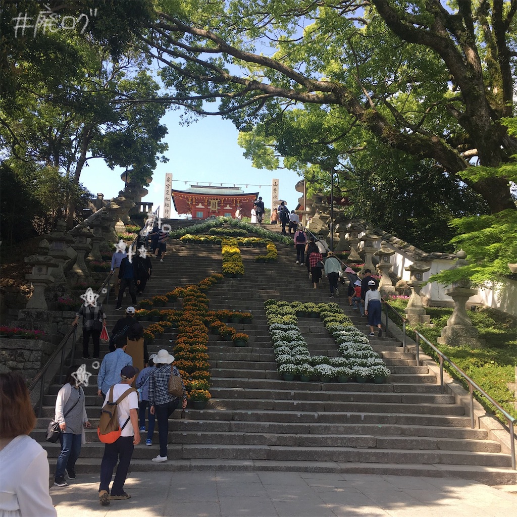 f:id:hiyapa:20190530221649j:image