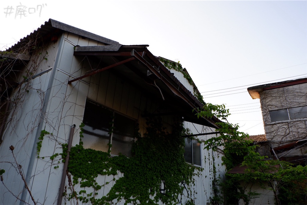 f:id:hiyapa:20190602201712j:image