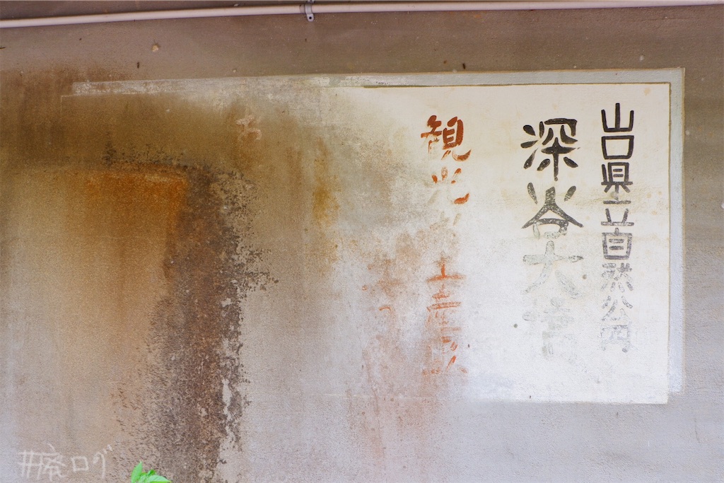 f:id:hiyapa:20190615190747j:image