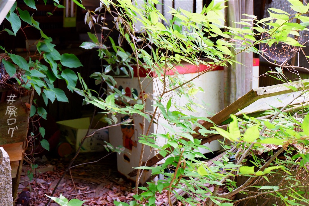 f:id:hiyapa:20190615190753j:image
