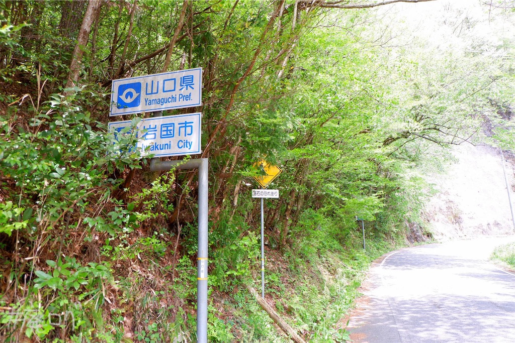f:id:hiyapa:20190615190802j:image