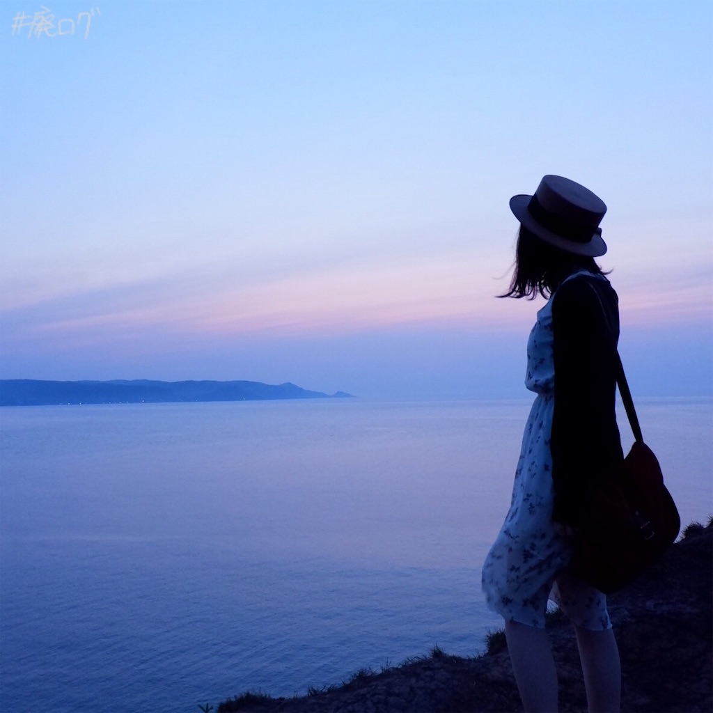 f:id:hiyapa:20190615191224j:image