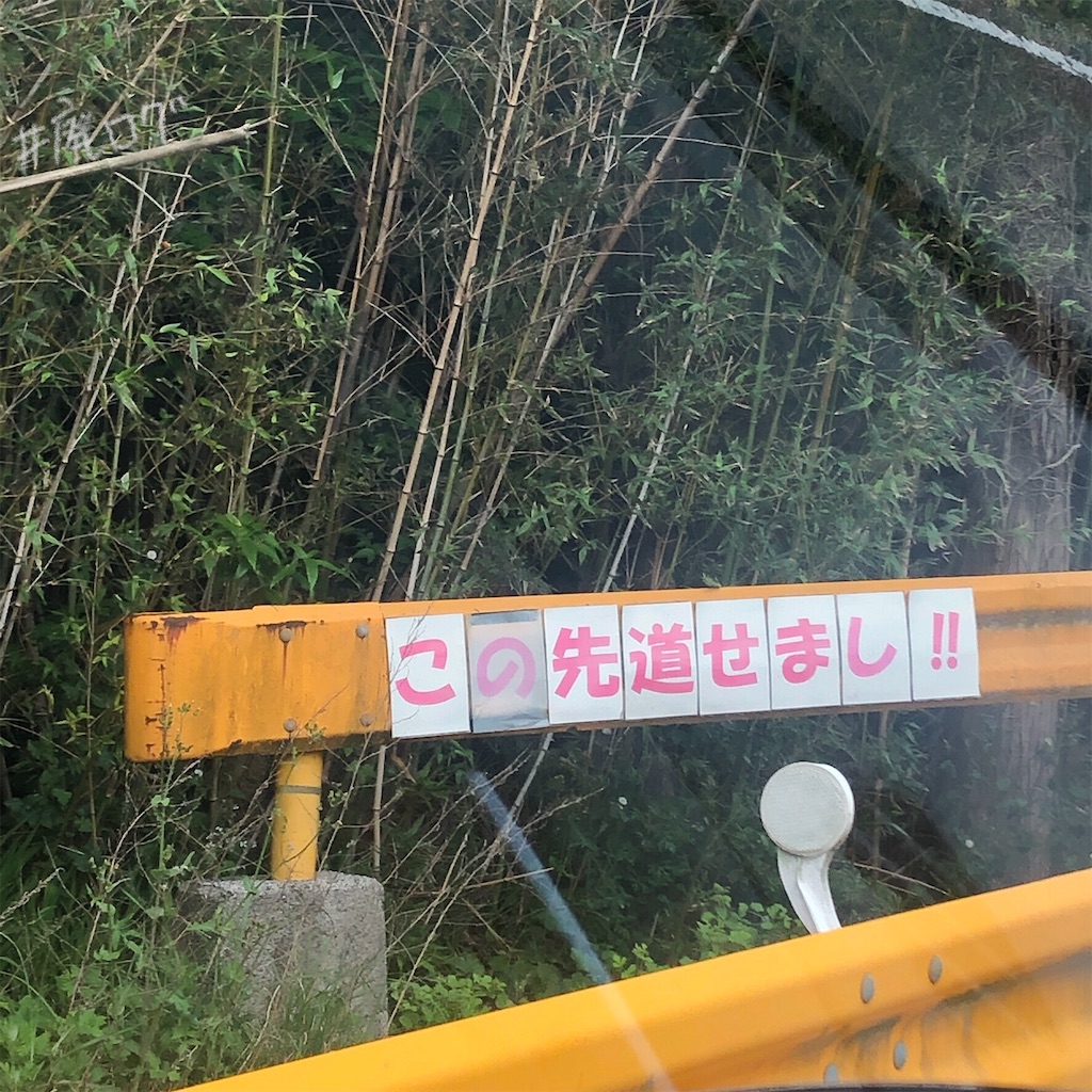 f:id:hiyapa:20190615191230j:image