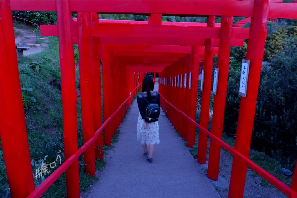 f:id:hiyapa:20190615191234j:image