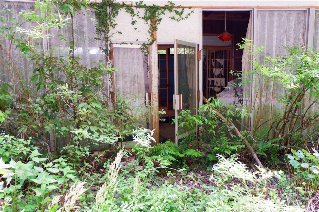 f:id:hiyapa:20190622210339j:image