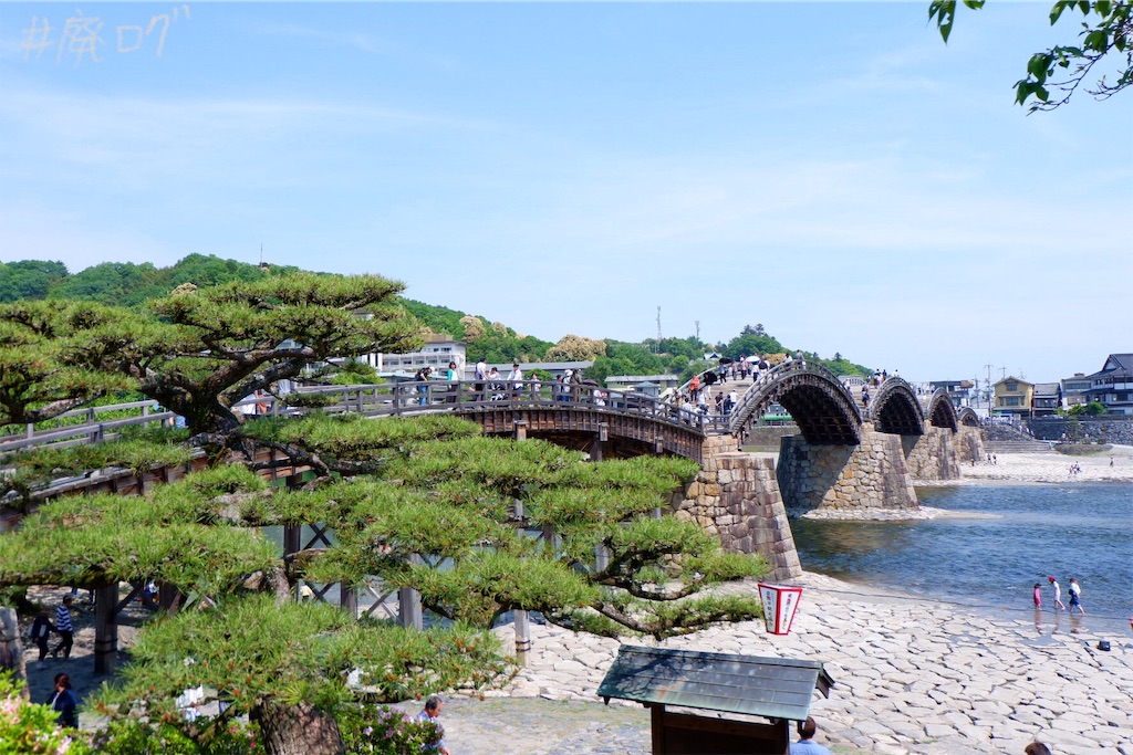 f:id:hiyapa:20190625220122j:image
