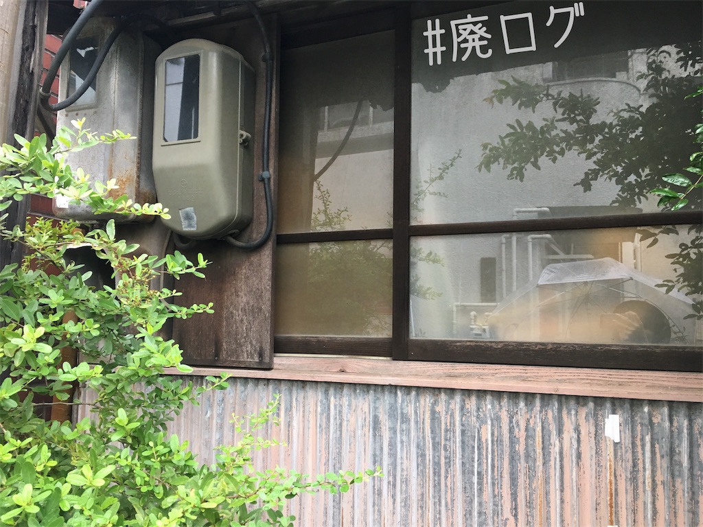 f:id:hiyapa:20190713220641j:image