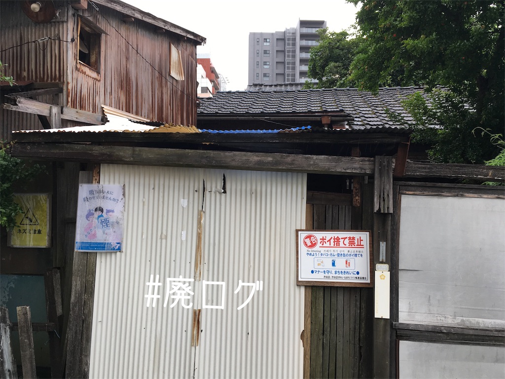 f:id:hiyapa:20190713220645j:image