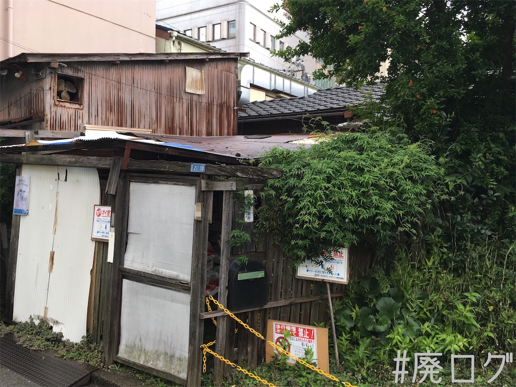f:id:hiyapa:20190713220648j:image