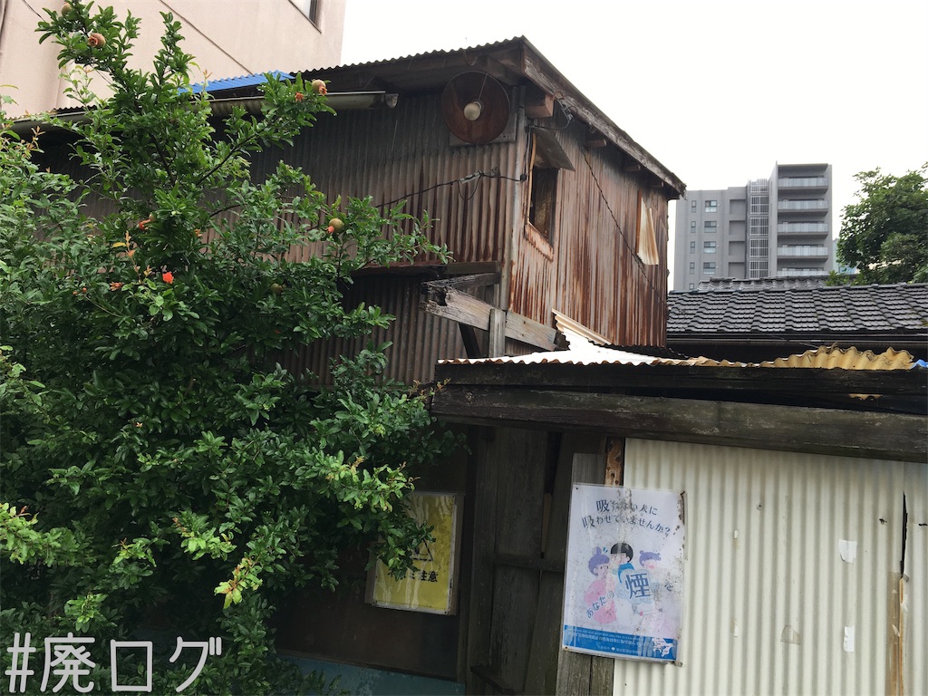 f:id:hiyapa:20190713220651j:image