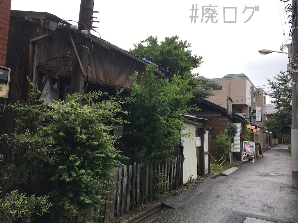 f:id:hiyapa:20190713220654j:image