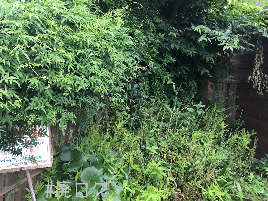 f:id:hiyapa:20190713220657j:image