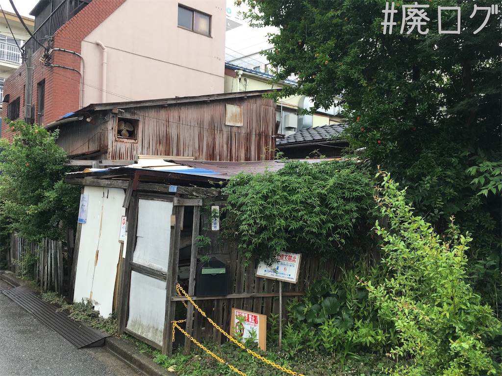 f:id:hiyapa:20190713220703j:image