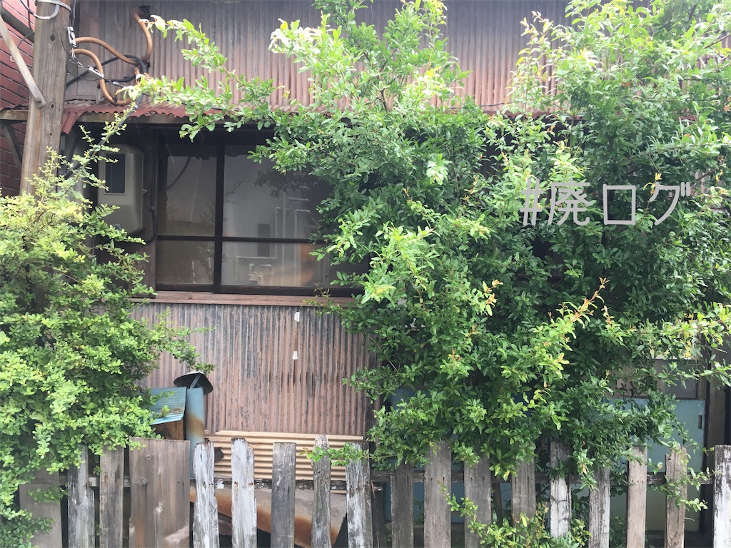 f:id:hiyapa:20190713220707j:image