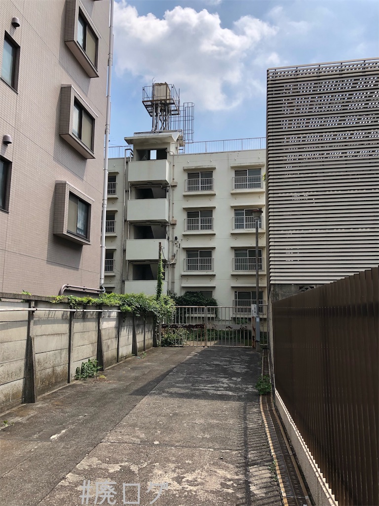 f:id:hiyapa:20190820202605j:image