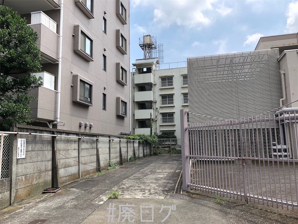 f:id:hiyapa:20190820202612j:image