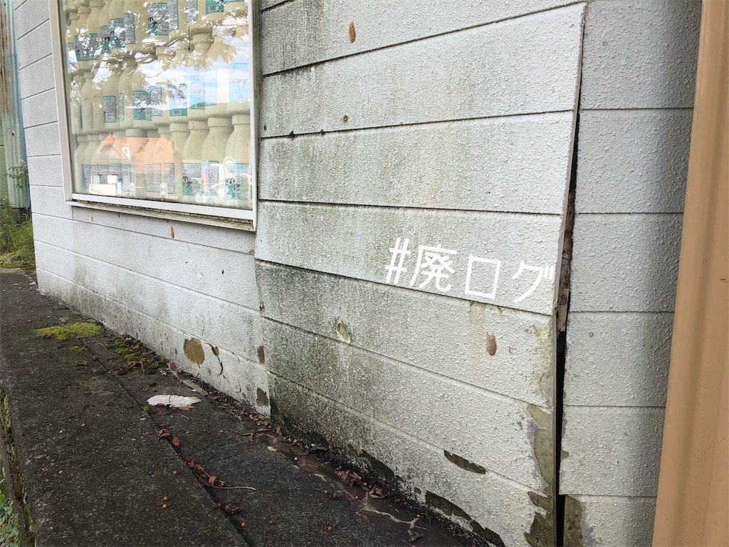 f:id:hiyapa:20190919214301j:image