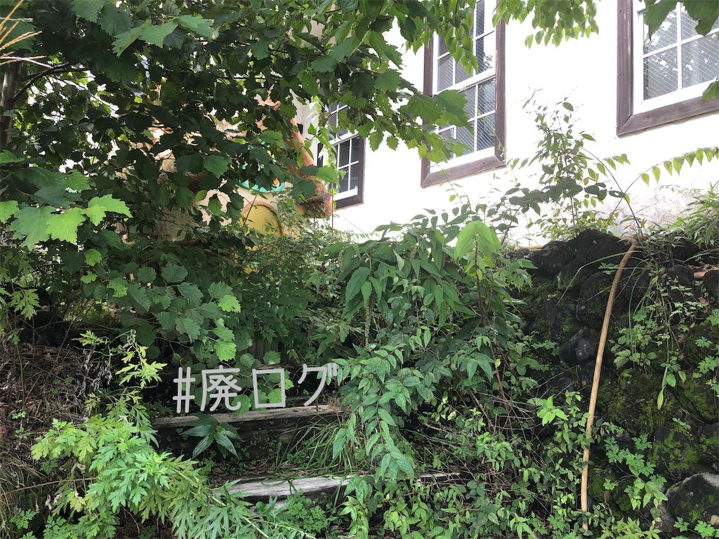 f:id:hiyapa:20190922203147j:image
