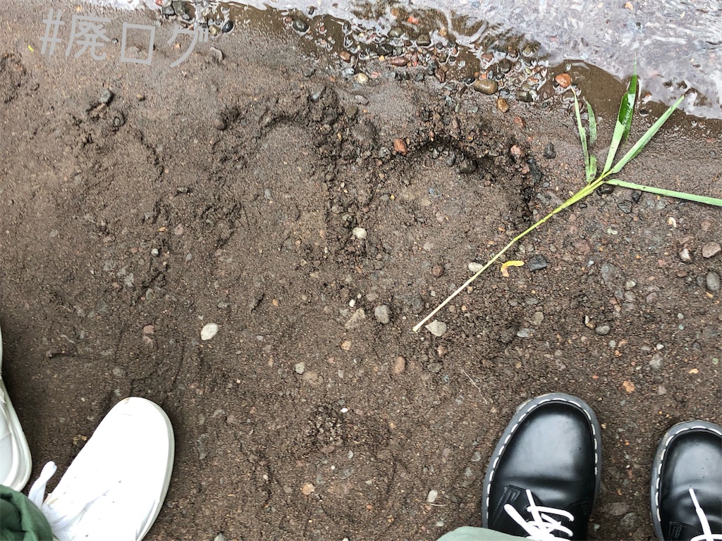 f:id:hiyapa:20190927214955j:image