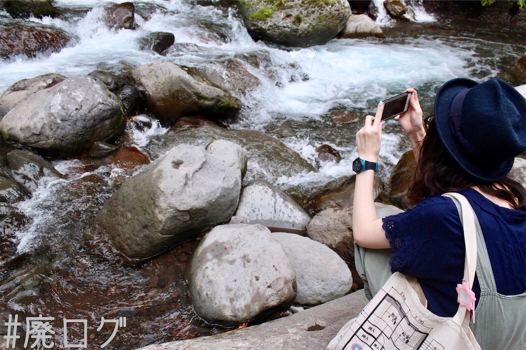 f:id:hiyapa:20190927214958j:image