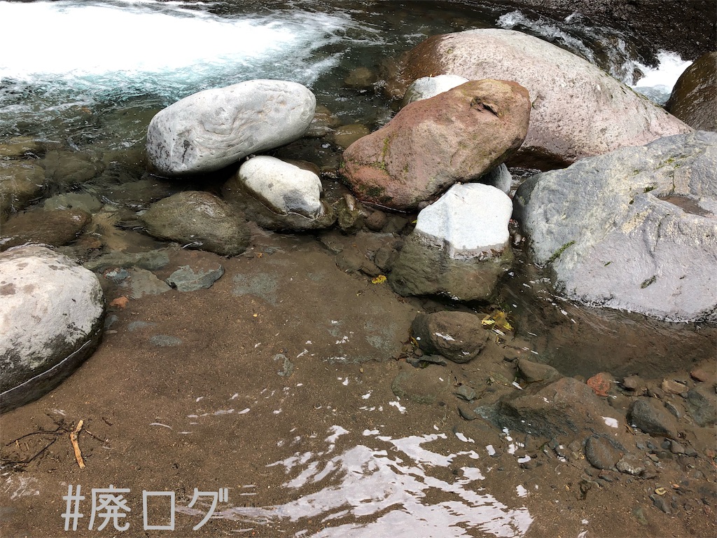 f:id:hiyapa:20190927215001j:image