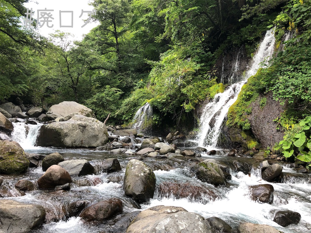 f:id:hiyapa:20190927215015j:image