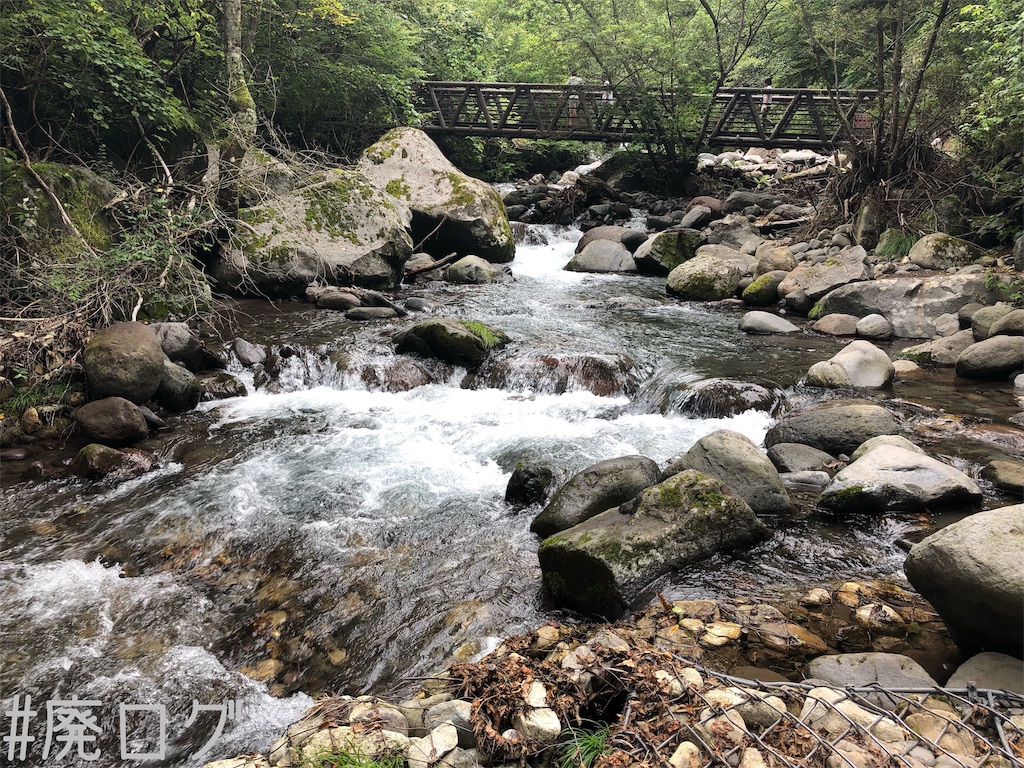 f:id:hiyapa:20190927215319j:image