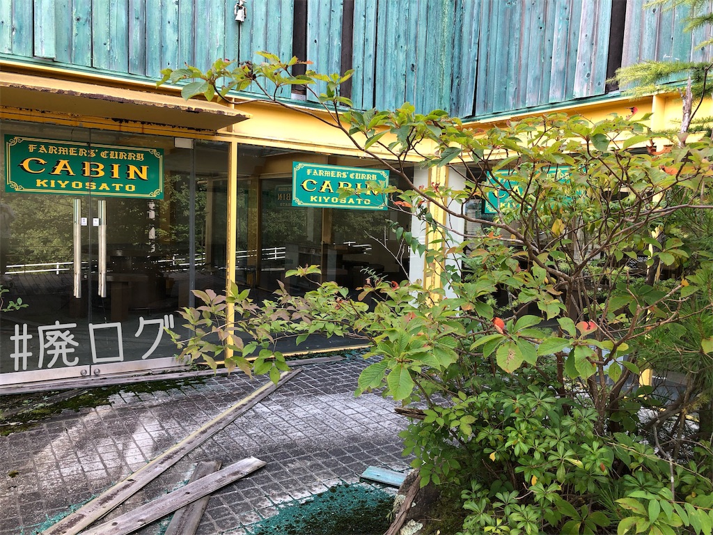 f:id:hiyapa:20191001214332j:image