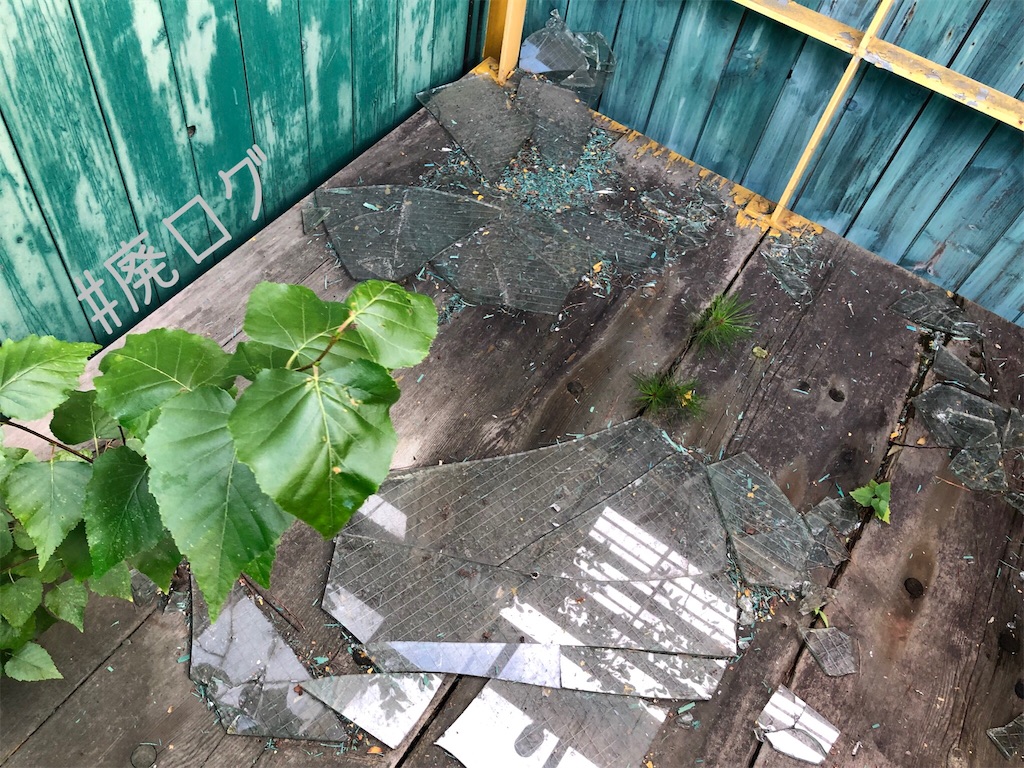 f:id:hiyapa:20191001214355j:image