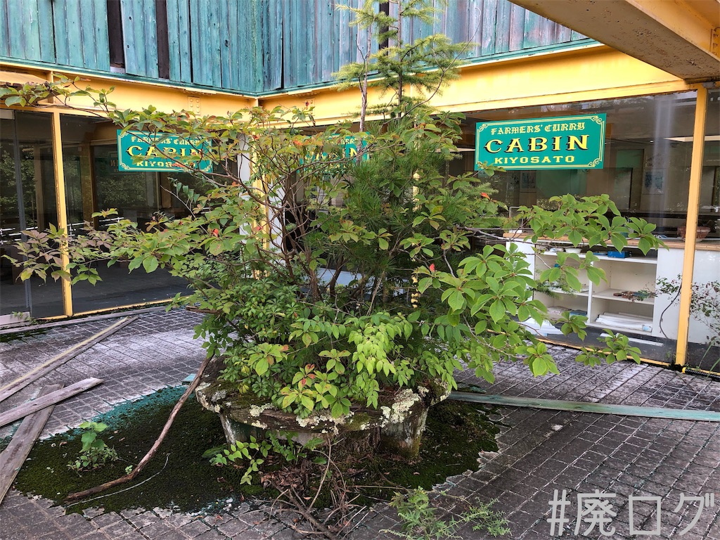 f:id:hiyapa:20191001214400j:image