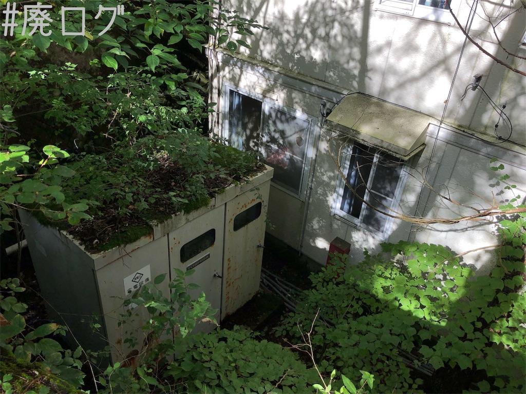 f:id:hiyapa:20191001214614j:image