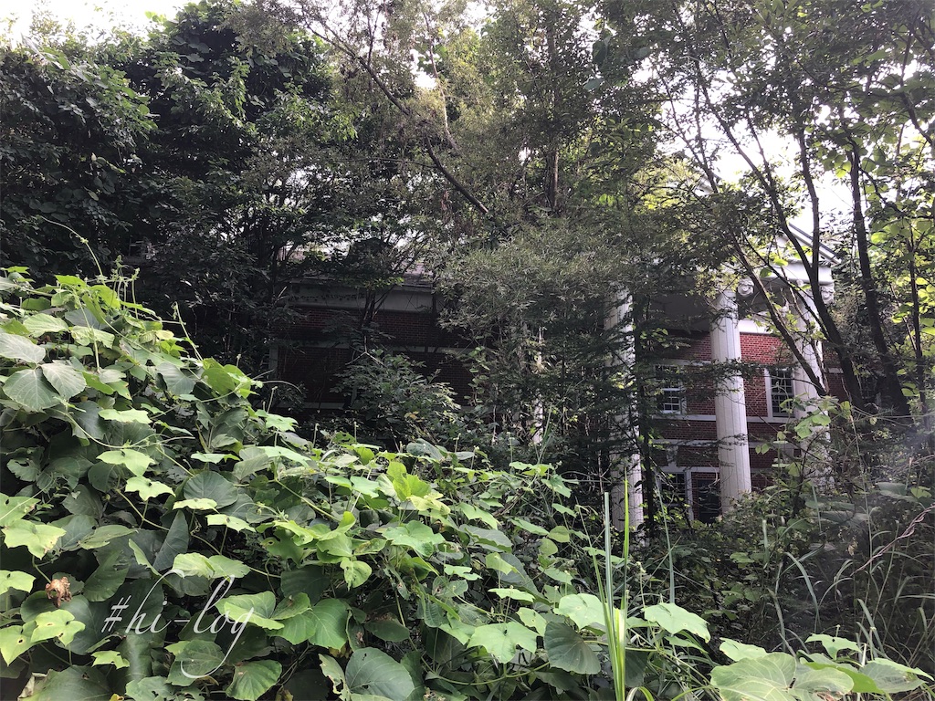 f:id:hiyapa:20191006193952j:image