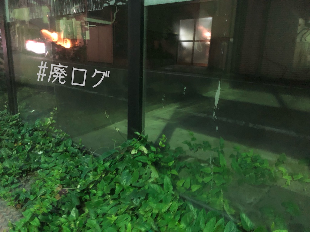 f:id:hiyapa:20191019204121j:image