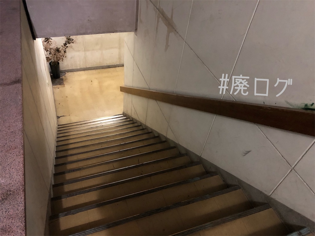 f:id:hiyapa:20191019205845j:image