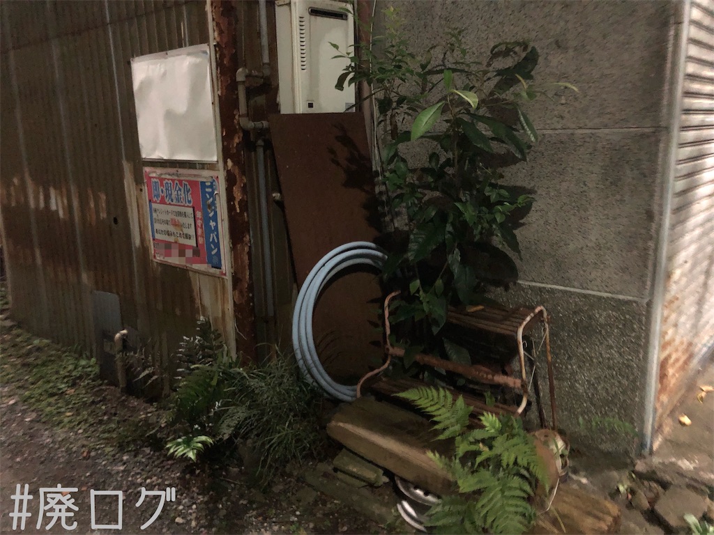 f:id:hiyapa:20191021180225j:image f:id:hiyapa:20191021180225j:image