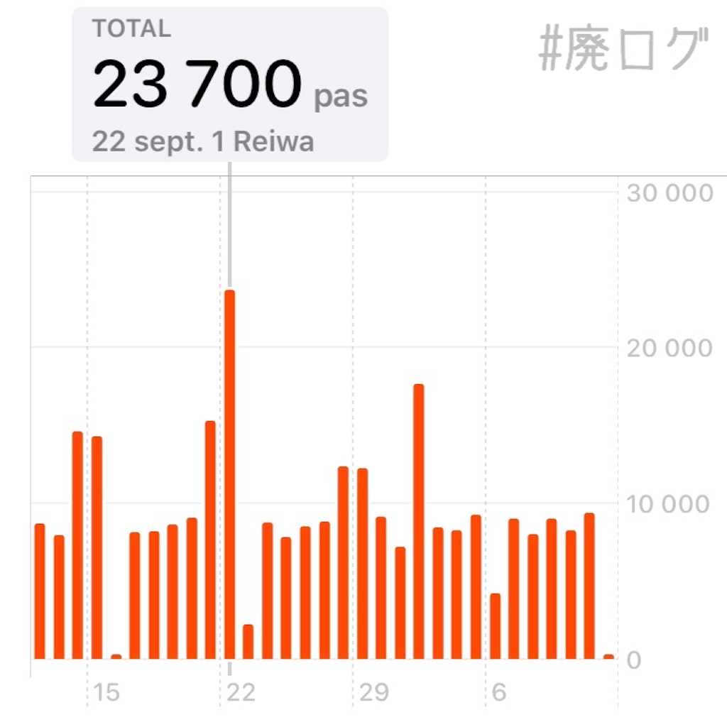 f:id:hiyapa:20191021180303j:image f:id:hiyapa:20191021180303j:image